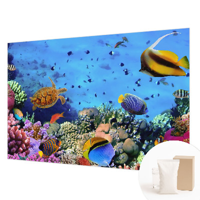 Fotótapéta méretre hálószobába Korallzátony