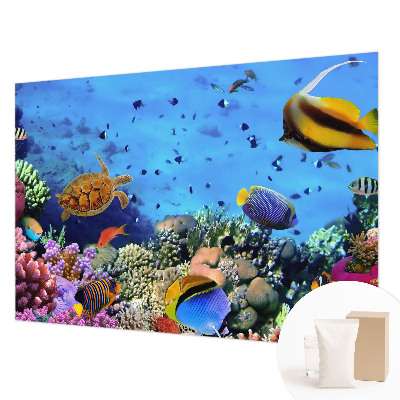 Fotótapéta méretre hálószobába Korallzátony