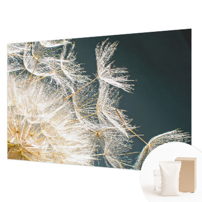 Fotó poszter tapéta A könnyedség pitypangja