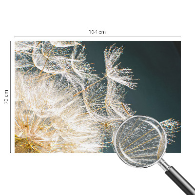 Fotó poszter tapéta A könnyedség pitypangja