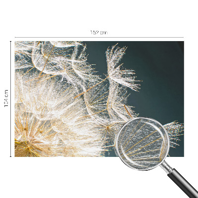 Fotó poszter tapéta A könnyedség pitypangja