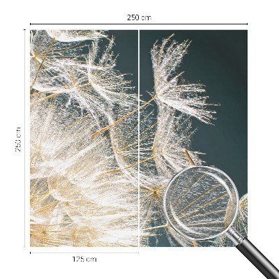 Fotó poszter tapéta A könnyedség pitypangja