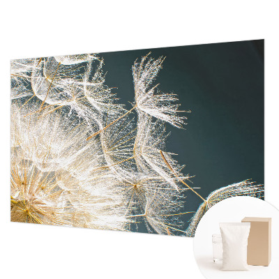 Fotó poszter tapéta A könnyedség pitypangja