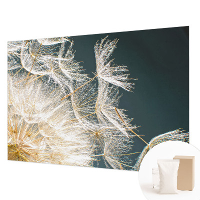 Fotó poszter tapéta A könnyedség pitypangja