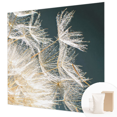 Fotó poszter tapéta A könnyedség pitypangja