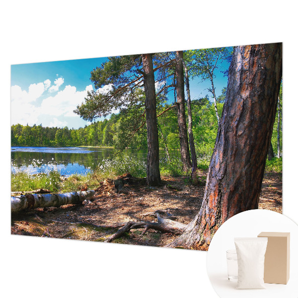 Fali poszter tapéta Erdő táj