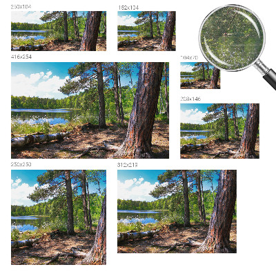 Fali poszter tapéta Erdő táj