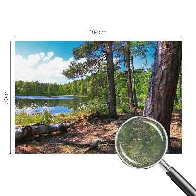 Fali poszter tapéta Erdő táj