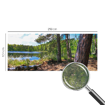 Fali poszter tapéta Erdő táj