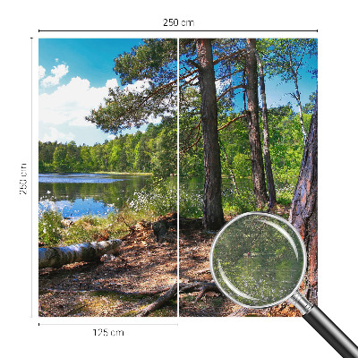 Fali poszter tapéta Erdő táj