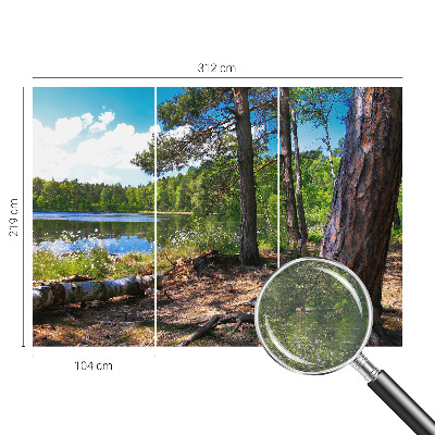 Fali poszter tapéta Erdő táj