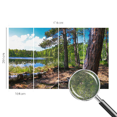 Fali poszter tapéta Erdő táj