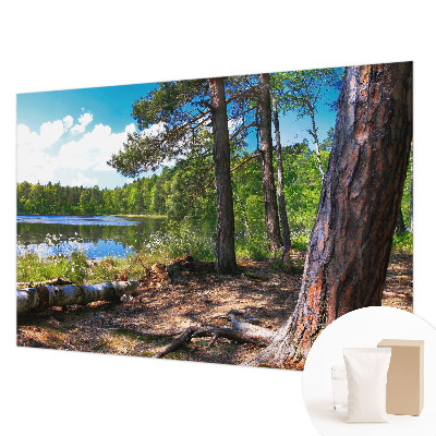 Fali poszter tapéta Erdő táj