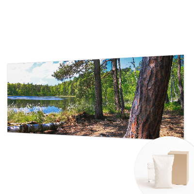 Fali poszter tapéta Erdő táj