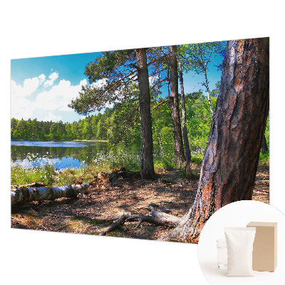 Fali poszter tapéta Erdő táj