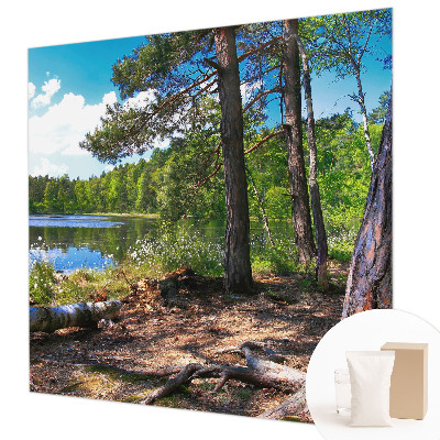 Fali poszter tapéta Erdő táj