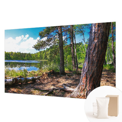 Fali poszter tapéta Erdő táj