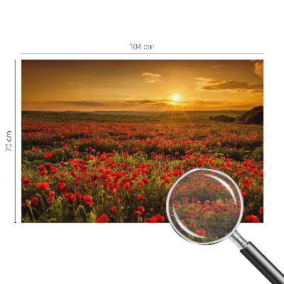 Fotótapéta nappaliba Pipacsmező