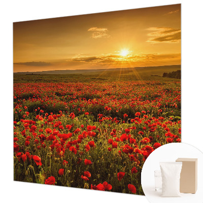 Fotótapéta nappaliba Pipacsmező