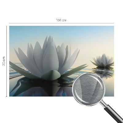 Modern fotótapéta Tavirózsák