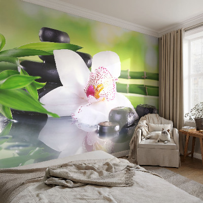 Dekor fotótapéta A természet békéje