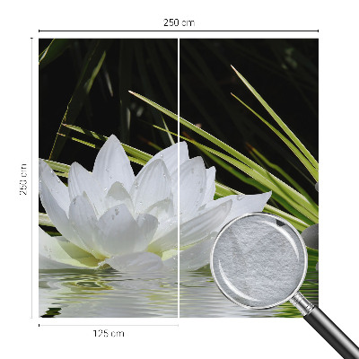 Fényképes tapéta Liliom meditáció