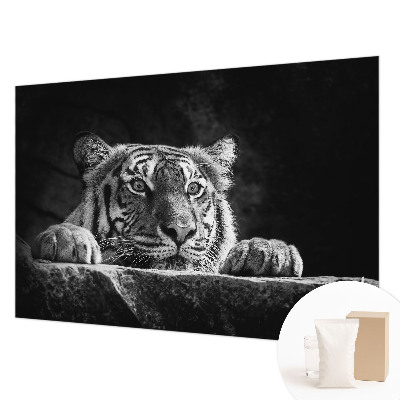 Vlies alapú fotótapéta Ragadozó kinézet