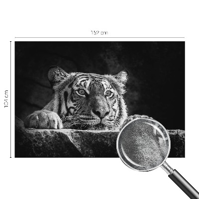 Vlies alapú fotótapéta Ragadozó kinézet