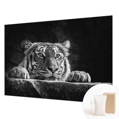 Vlies alapú fotótapéta Ragadozó kinézet