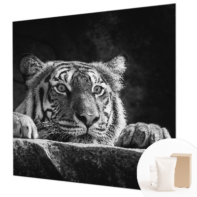 Vlies alapú fotótapéta Ragadozó kinézet