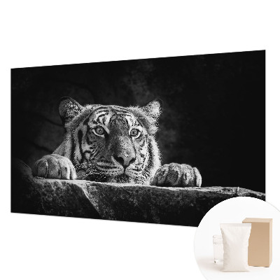 Vlies alapú fotótapéta Ragadozó kinézet