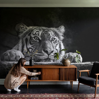 Vlies alapú fotótapéta Ragadozó kinézet