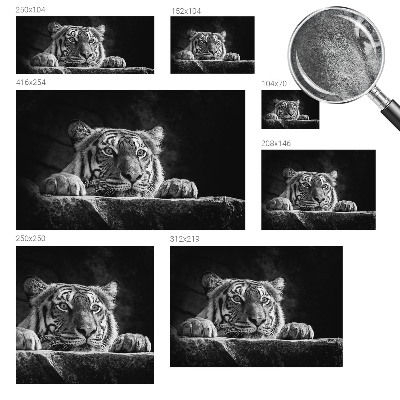 Vlies alapú fotótapéta Ragadozó kinézet