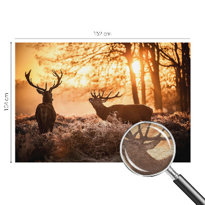 Fotótapéta Szarvas reggel