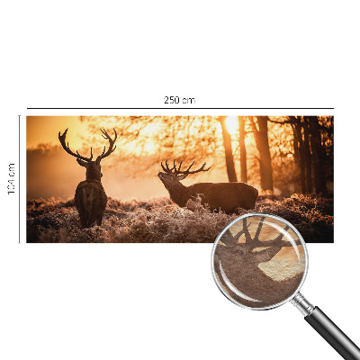 Fotótapéta Szarvas reggel