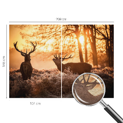 Fotótapéta Szarvas reggel