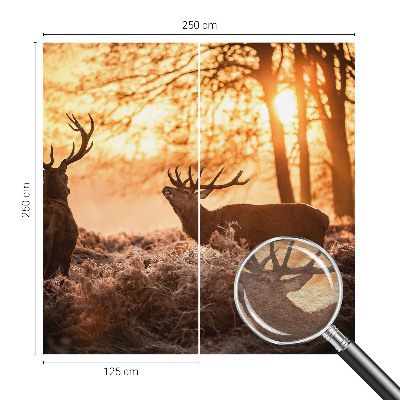 Fotótapéta Szarvas reggel