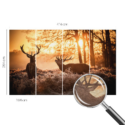 Fotótapéta Szarvas reggel