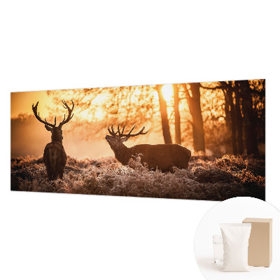 Fotótapéta Szarvas reggel