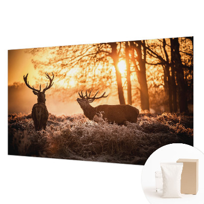 Fotótapéta Szarvas reggel