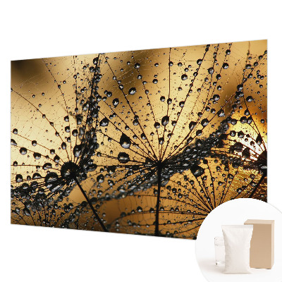 Modern fotótapéta méretre Finom cseppek