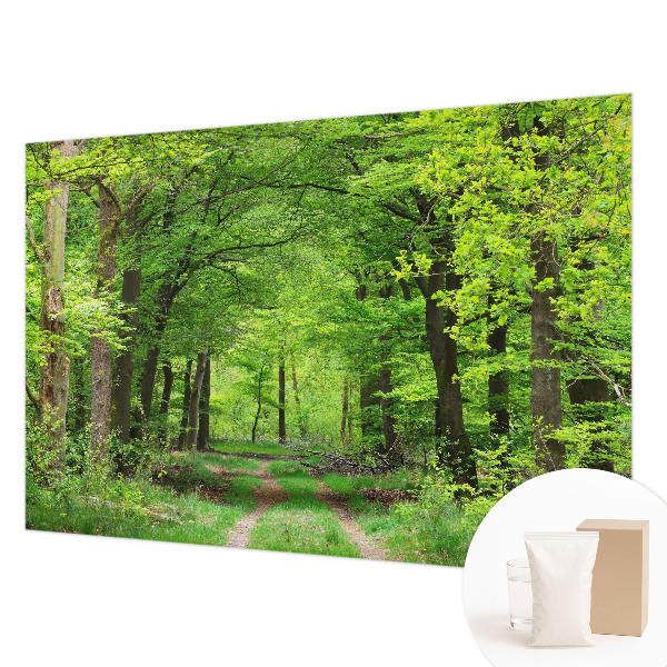 Vlies fotótapéta Erdei ösvény