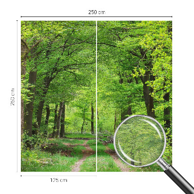 Vlies fotótapéta Erdei ösvény