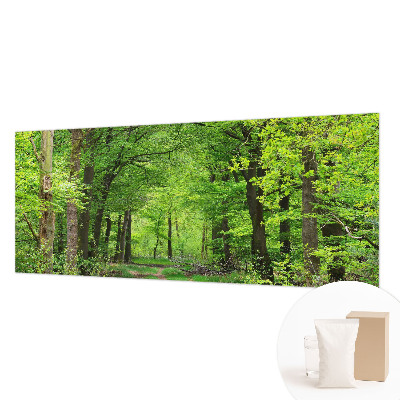 Vlies fotótapéta Erdei ösvény