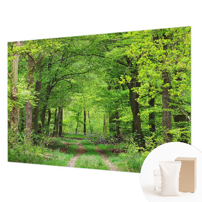 Vlies fotótapéta Erdei ösvény