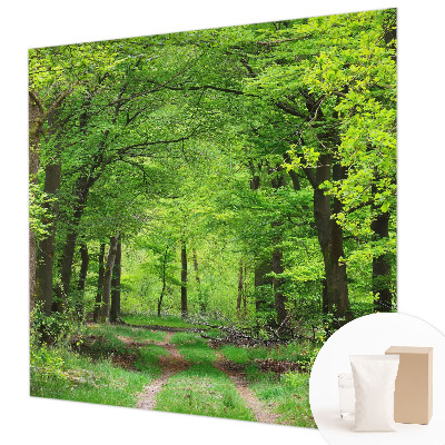 Vlies fotótapéta Erdei ösvény