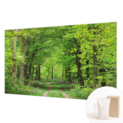 Vlies fotótapéta Erdei ösvény