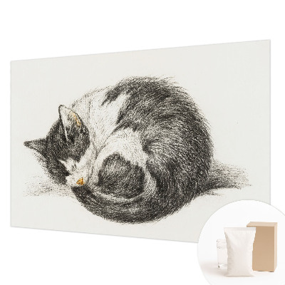 Fotótapéta Imádnivaló cica