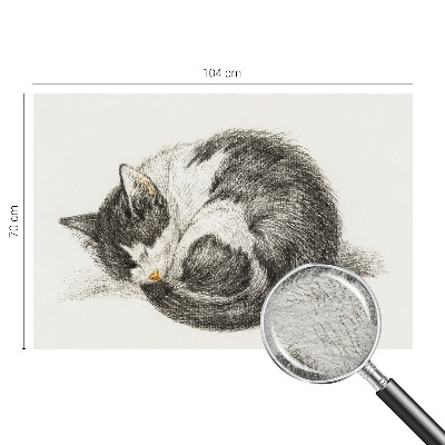 Fotótapéta Imádnivaló cica