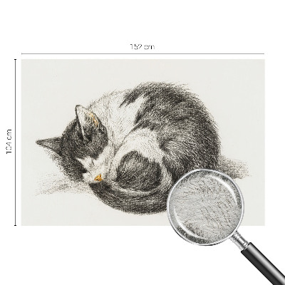 Fotótapéta Imádnivaló cica